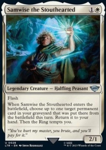 Samwise dal cuore - samwise,