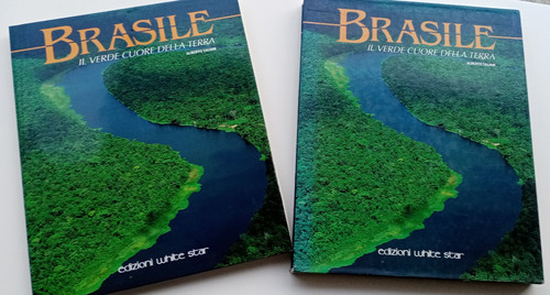 Brasile verde cuore della - cuore,