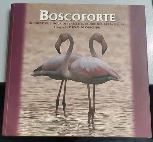 Bosco forte terra nel - , cuore