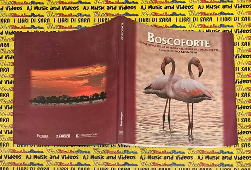 Book libro boscoforte lingua - book,