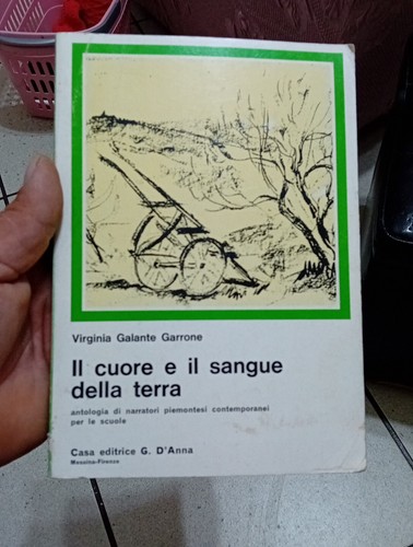 Cuore sangue della - e,